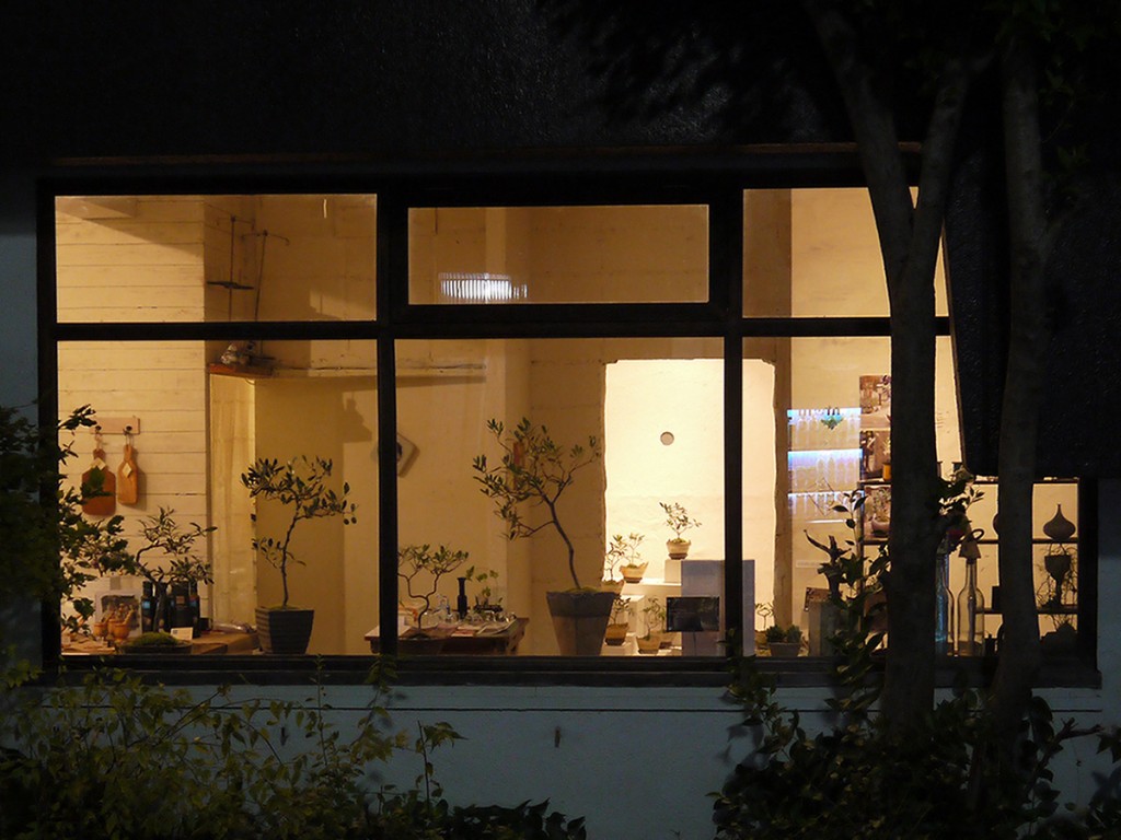 夜の窓越しにみるオリーブの盆栽達