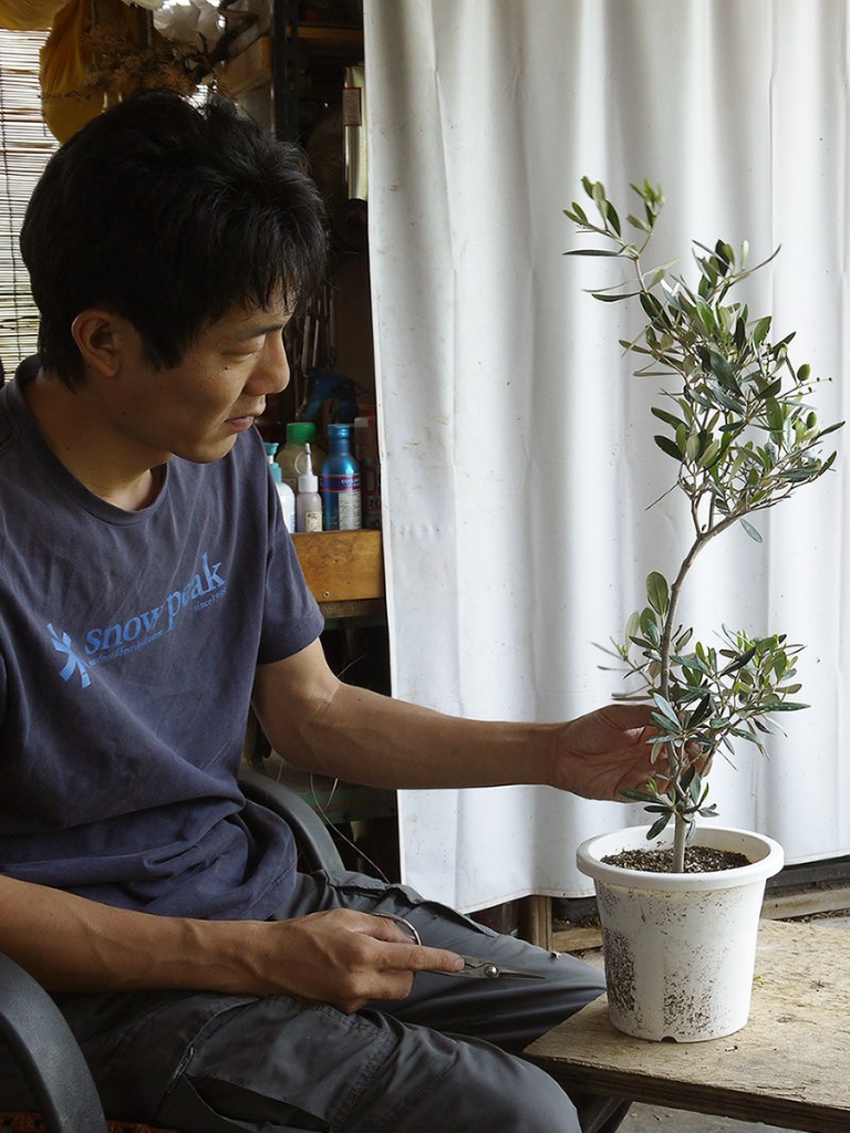 素材を眺め正面・芯となる枝を仮決めする